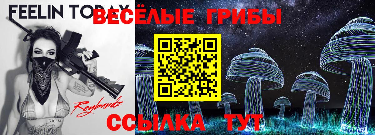 Галлюциногенные грибы MAGIC MUSHROOMS  Вход с VPN  купить наркотик  Нижний Тагил 