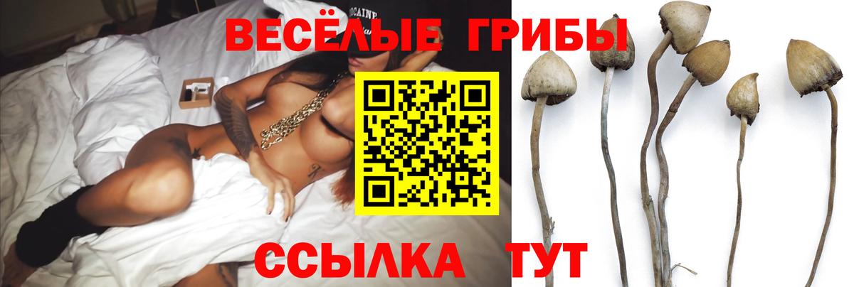 Псилоцибиновые грибы MAGIC MUSHROOMS Нижний Тагил